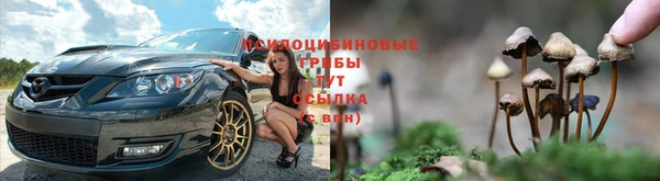 первитин Вяземский