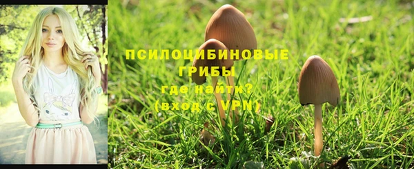 гашиш Алзамай