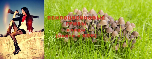 скорость mdpv Алексеевка