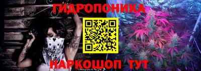 Альфа ПВП Заволжье