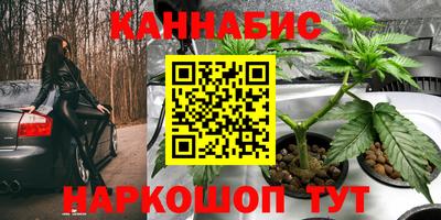 Альфа ПВП Заволжье
