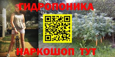 Альфа ПВП Заволжье